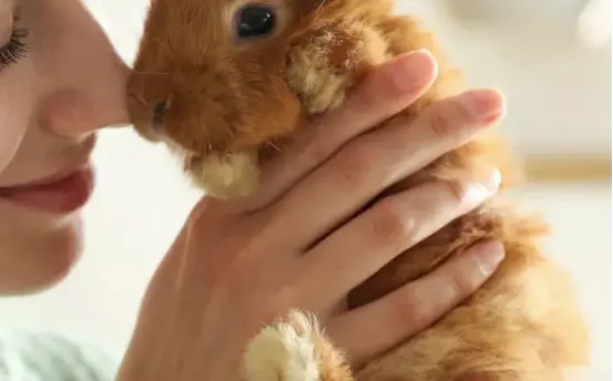 Czym Są Kosmetyki Wegańskie? 🍀🐇 Banner